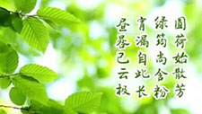 ��������B(y��ng)���� (t��ng) (t��ng)�������t(y��)������ô�f(shu��)